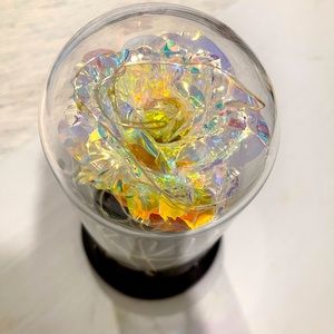 Galaxy Enchanted Rose